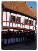Odense Danimarca