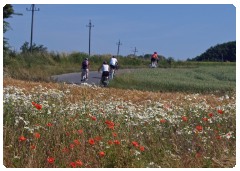 Piste ciclabili Danimarca